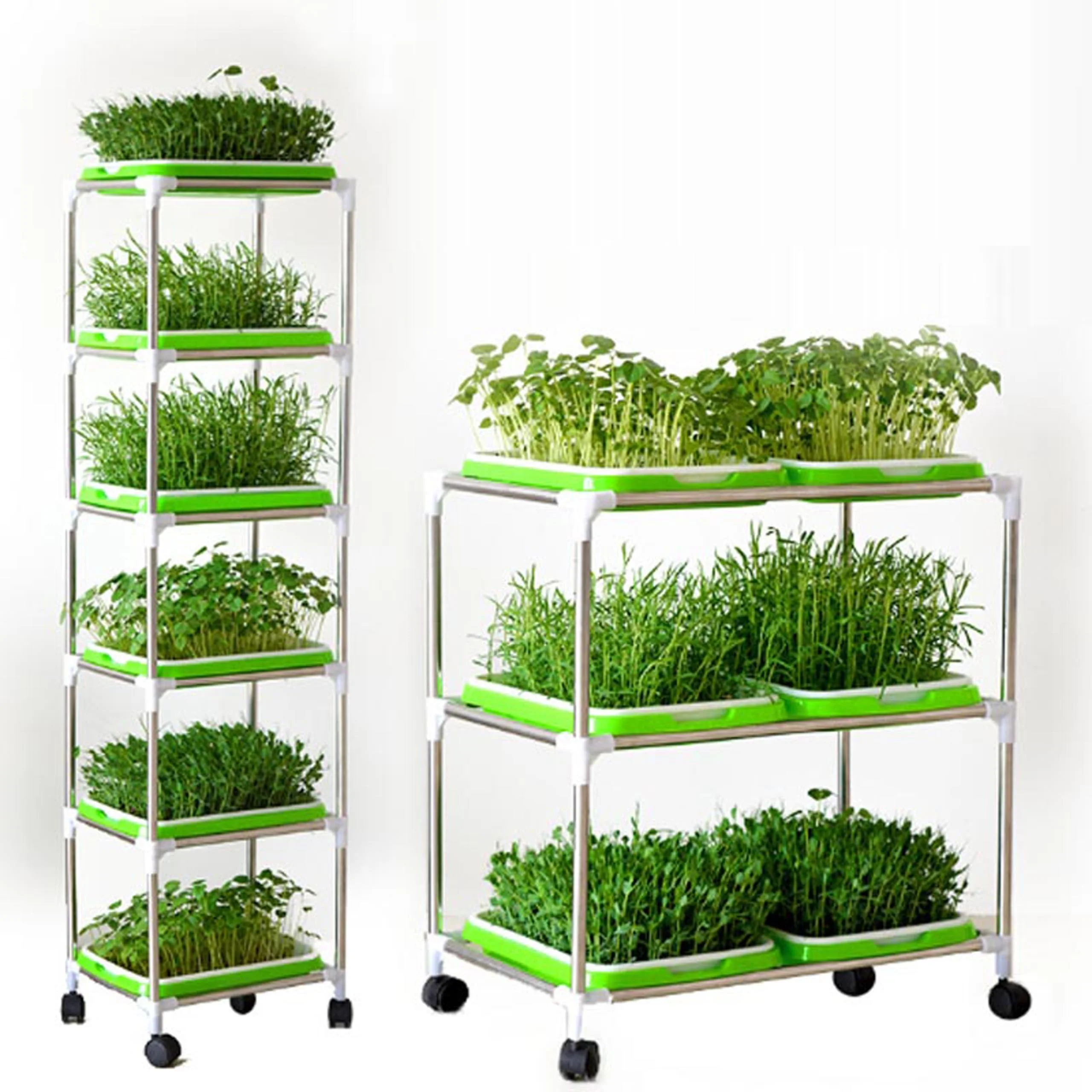 

Bean Sprout Nursery Tray Shelf with Universal Wheel Stainless Steel Seedling Germination Tray HydroponicVegetable Planting Frame