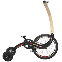 Three-wheeled Exercise Bike / Stand-free Standing Bicycle / Ultra Light Folding Bike / Sports Weight Loss Bike / Wooden + Steel