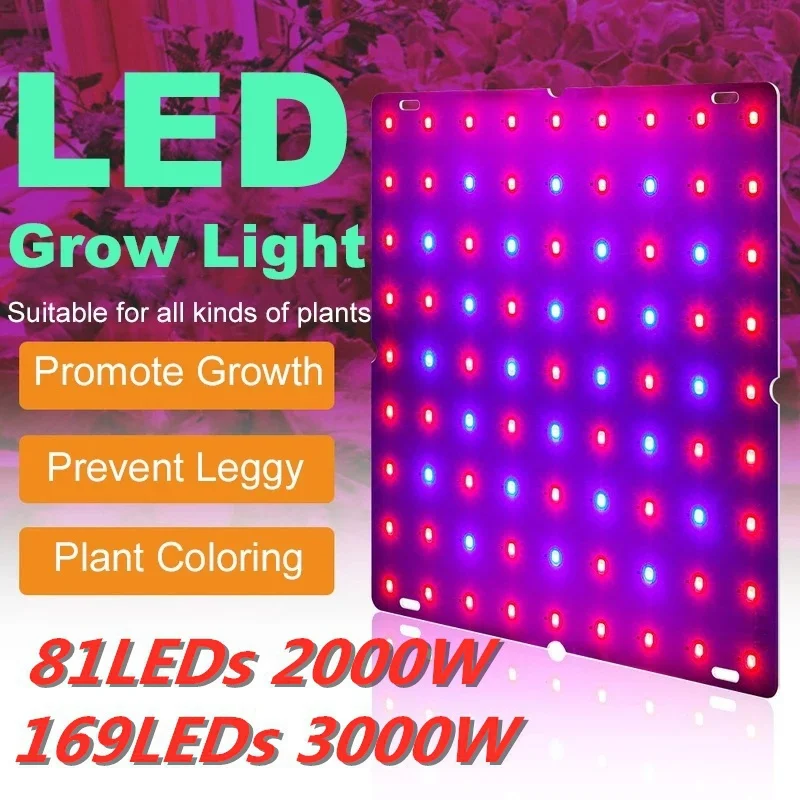 LED Grow Light 2000W 3000W 81 LEDs / 169 LEDs Phytolamp Full Spectrum 1 Mode Switch Veg Bloom Indoor Plant Growth Lamp