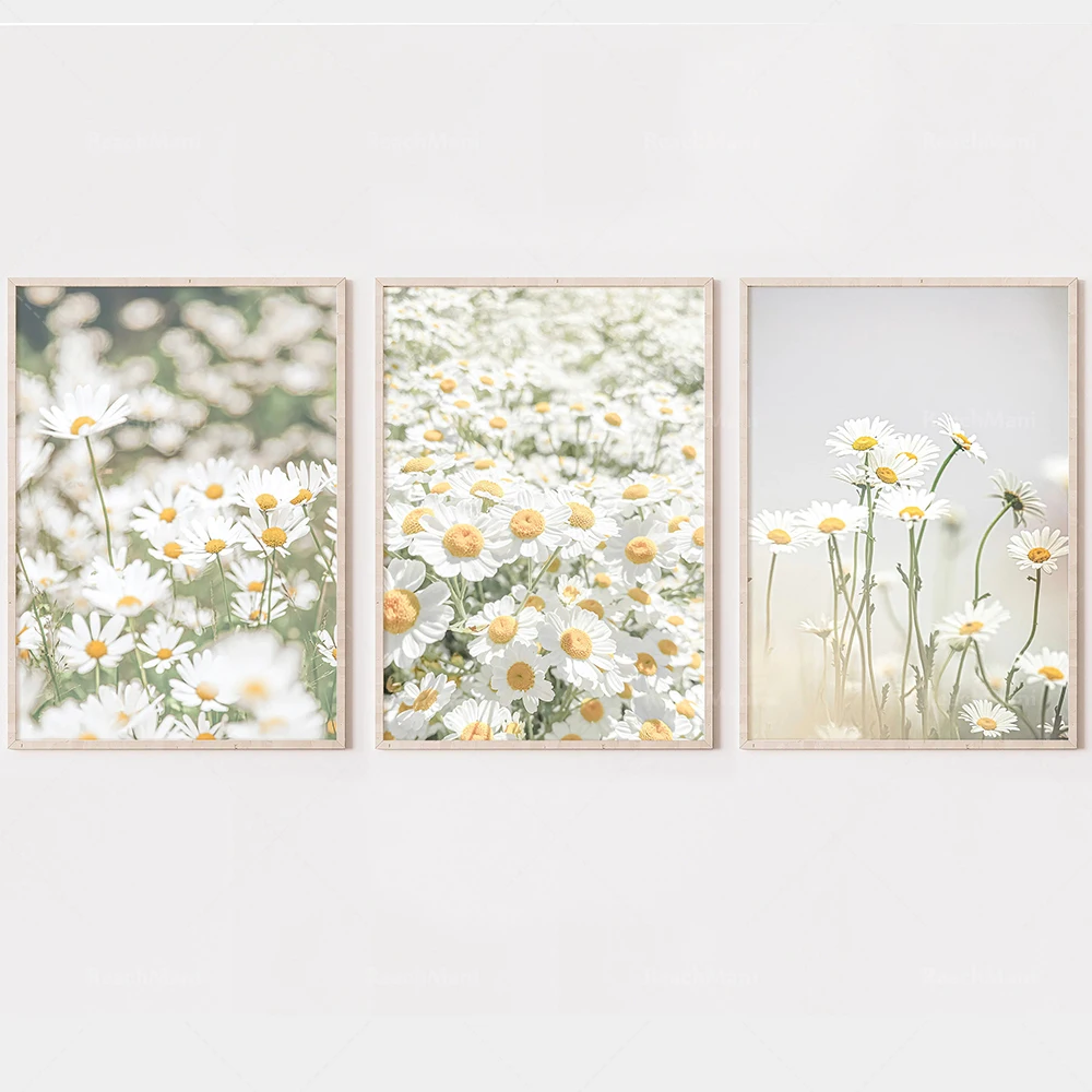Daisy Photography Printable Wall Art, Daisy Posters, White Daisies, Flowers Minimalist Modern Wall Decoration Gifts