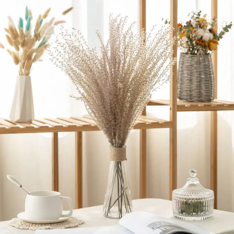 Black Bunny Tail Grass Dried Flower Natural Pampas Grass Real Reed Small Bulrush Bouquet Home Office Decor Wedding Dekoration