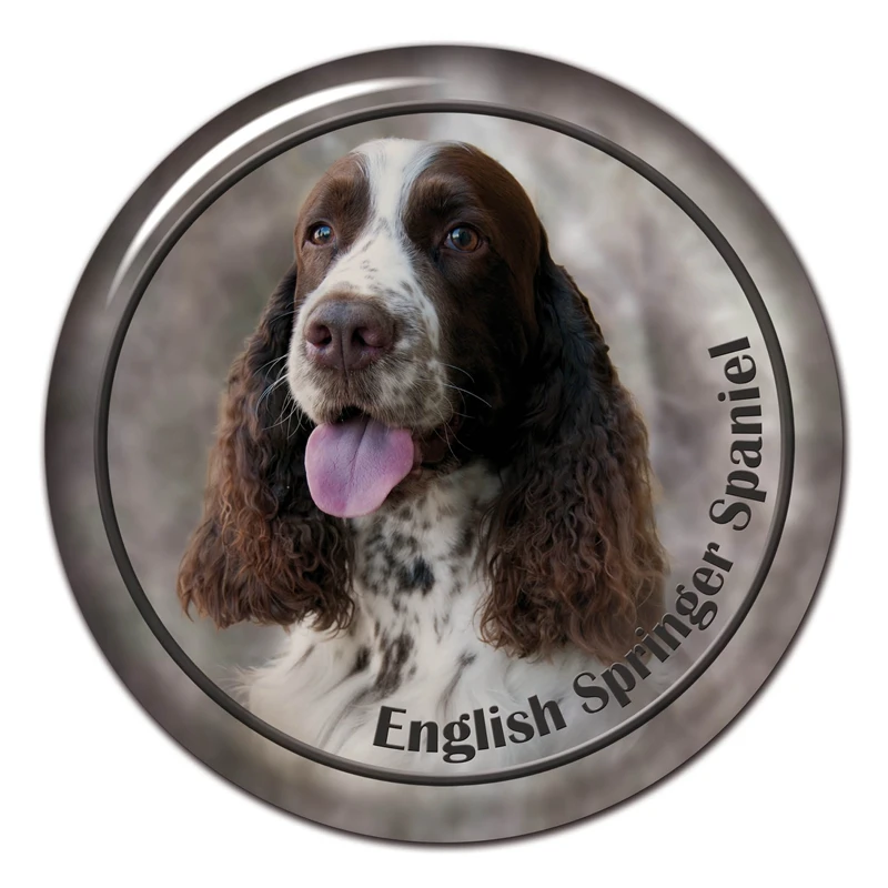 B0855# 13CM/17CM Self-Adhesive Decal English Springer Spaniel Dog V1 Car Sticker Decors on Bumper Rear Window Laptop