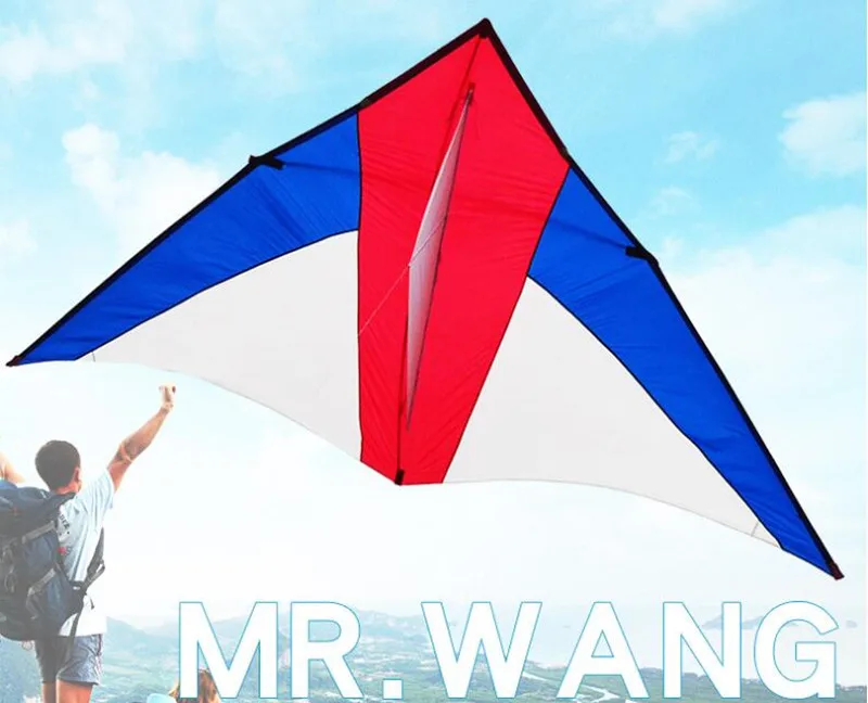 Cometa Delta grande para diversión al aire libre con mango de 100m, línea de nailon Ripstops, cometa triangular grande, brisa, viento, puede volar, deporte al aire libre para adultos