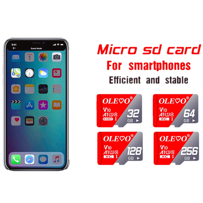 EVO PLUS Memory Card 256GB High Speed  Mini SD Class 10 U1 UHS-I 128G 64GB 32GB SD Card TF Cards for Mobile Phone Digital Device