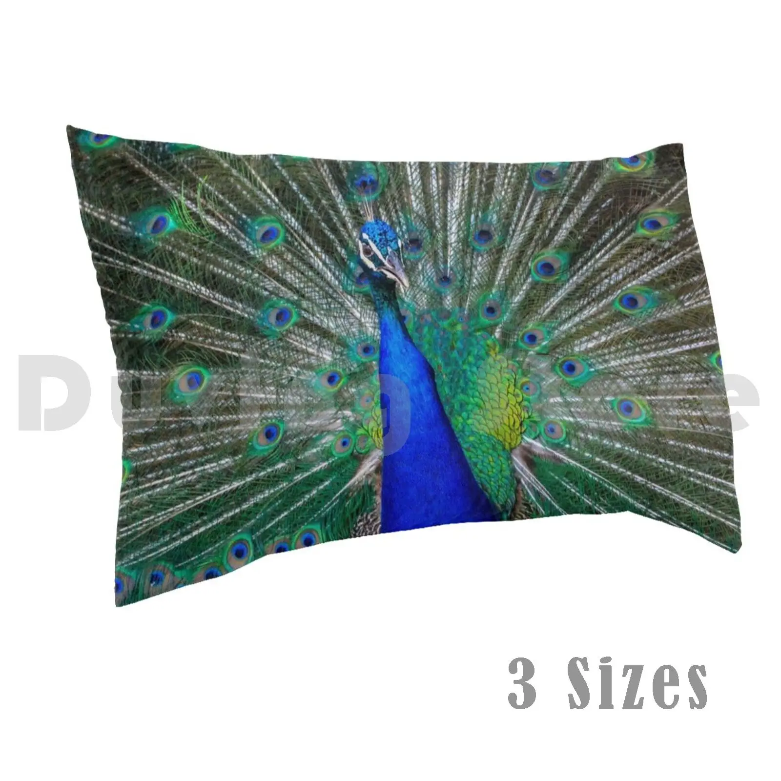 

Peacock Pillow Case Printed 35x50 Peacock Bird Texas Color Nature Nikon