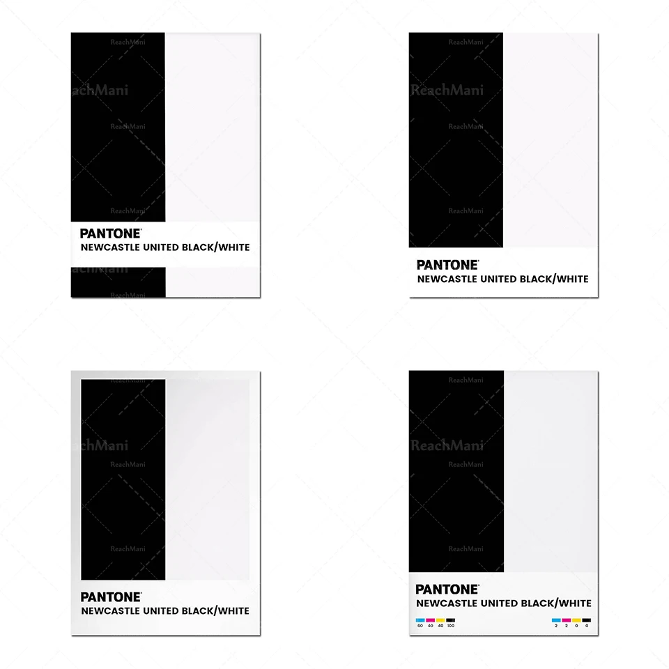 

NEWCASTLE UNITED Ballon de football Pantone® Noir / Blanc