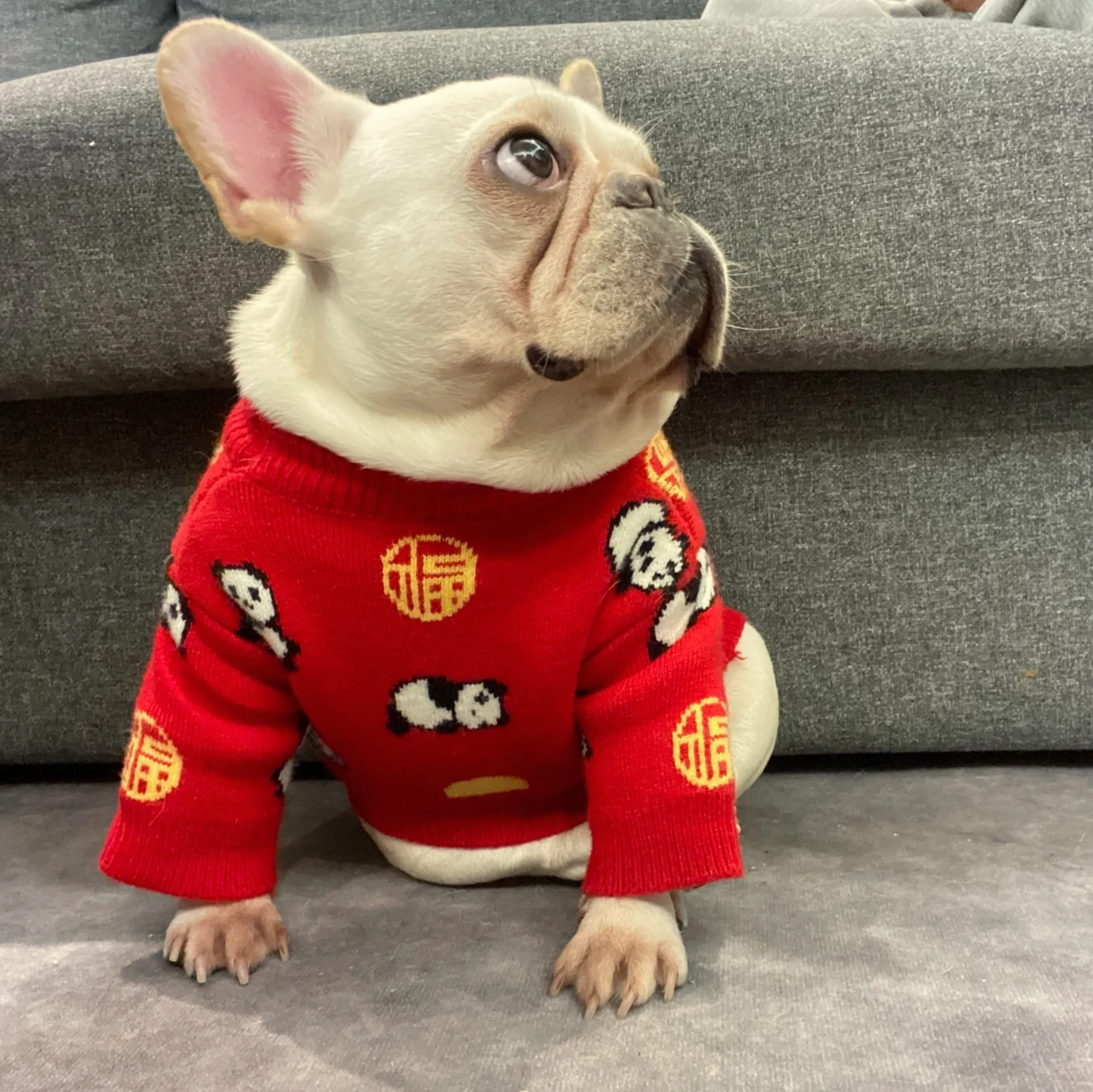 

Cute Chinese New Year Panda Dog Clothes Yellow Scarf Cat Bulldog Teddy Schnauzer Puppy Fall Winter Coat Dog Apparel Dress