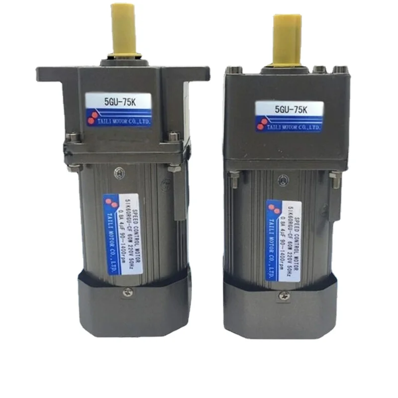220V Geared Motor Micro-small Household Two-phase Motor Motor 60W120W200W250W300W400W Speed Regulating Motor Low Speed