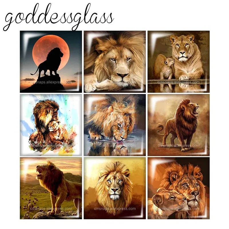 

New King of the forest Lion wild beast Square 10pcs mixed 12mm/20mm/25mm/30mm photo glass cabochon flat back Making findings