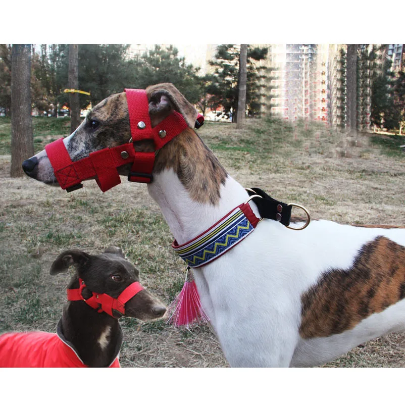 Bozal ajustable de nailon para perro, máscara antimordedura para Galgo, Whippet