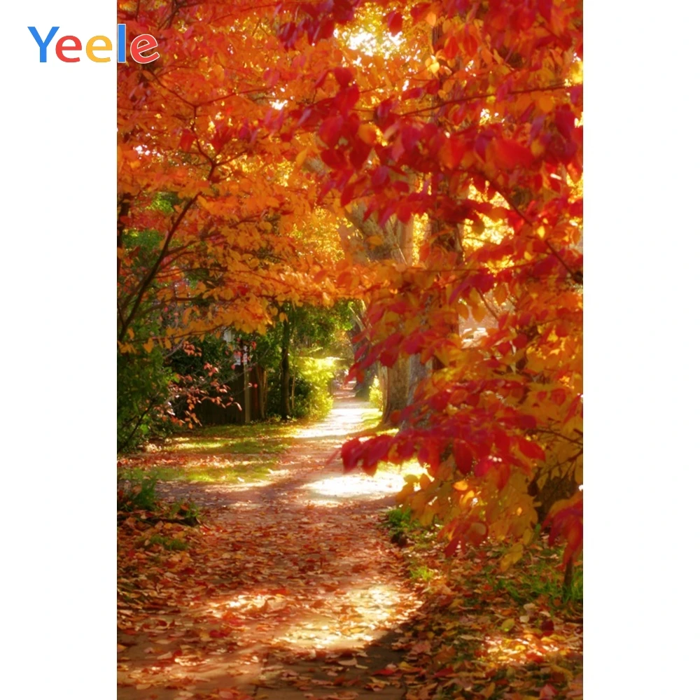 Yeele Autumn Landscape Photocall Red Maple Forest Photography Backdrops Personalized Photographic Backgrounds For Photo Studio