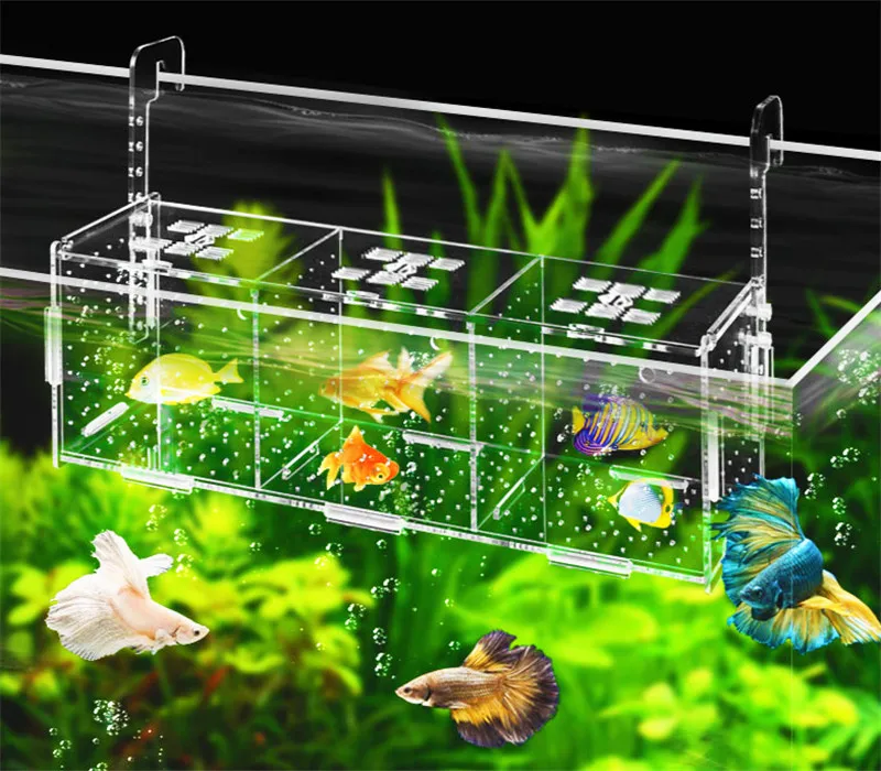 Clear acrylic isolation box for fish tank, aquarium, fish tank, incubation, single and double grid reproduction