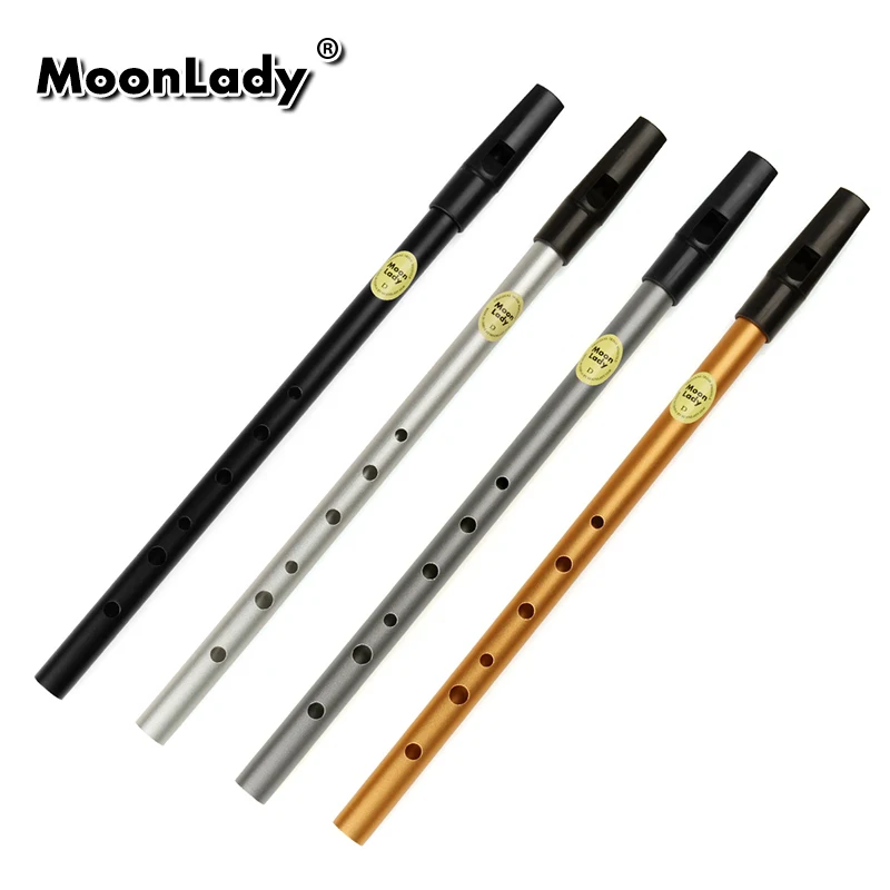 Metal Flute With 6 Holes D Key Irish Whistle Musical Instrument Penny Whistle Aluminum Alloy Flute with All Accessories