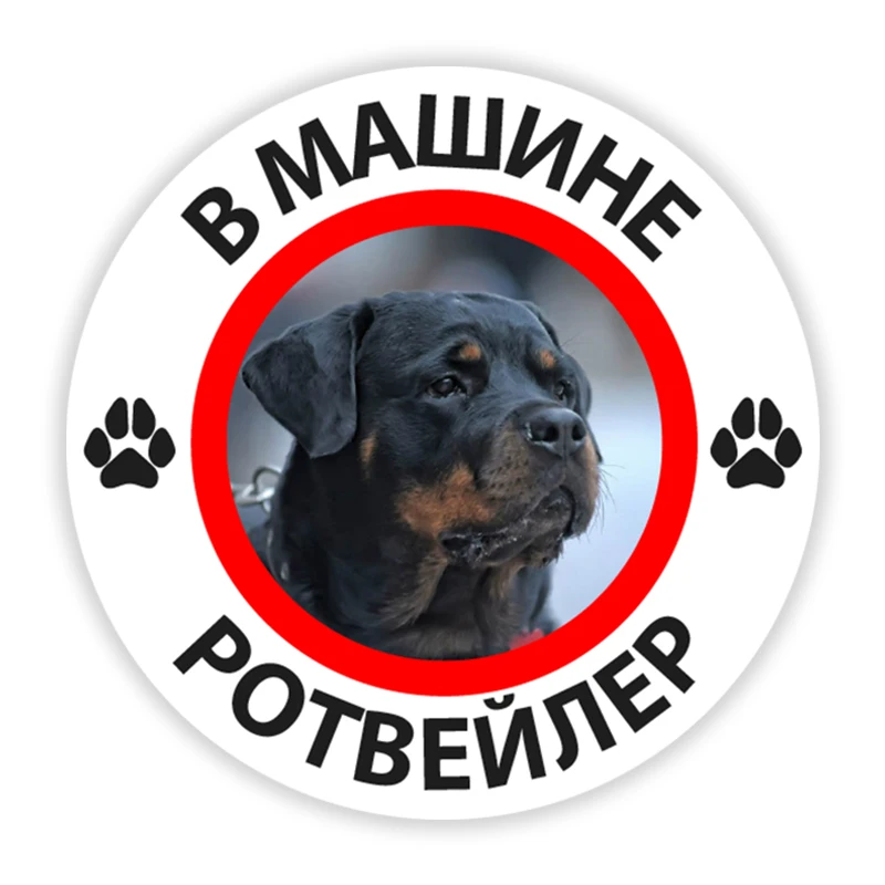 B0214# Self-adhesive Decal Rottweiler in the Car Car Sticker Waterproof Auto Decors on Bumper Rear Window