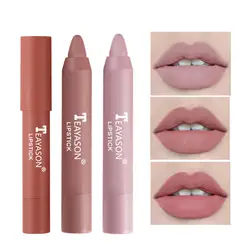 TEAYASON Hot Selling Matte Lipstick Pigmented Maquillaje Moist Lip Tint Easy to Wear Lipsticks Pen Makeup Sexy Lip Cosmetics