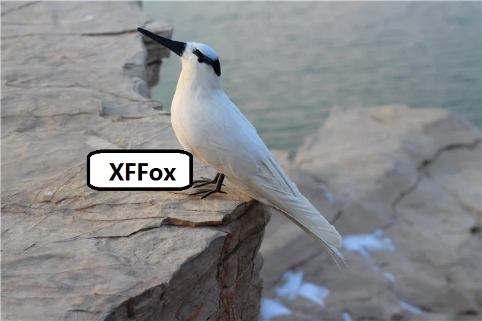 new real life Tern bird model foam&feather white bird gift about 33cm xf2606