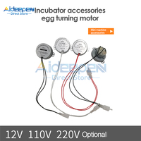 2.5-3 r/min Automatic Incubator Motor TY-50AF AC 110V 220V 12V 50/60Hz Torque 4KGF.CM 4W CW/CCW Low Speed Egg Turning Mini Motor