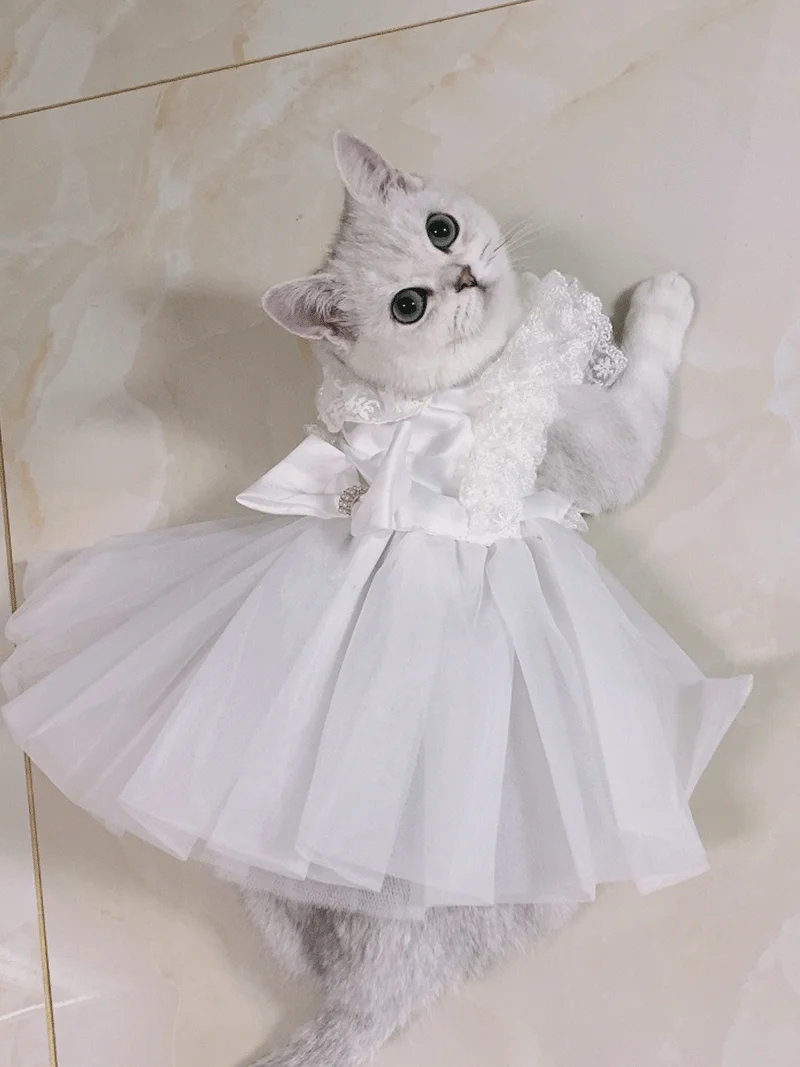 Pet Dog Wedding Dresses Pure Cotton White Lace Bowknot Tutu Dress For Small Medium Dog Chihuahua Teddy Costumes Outerwear 2022