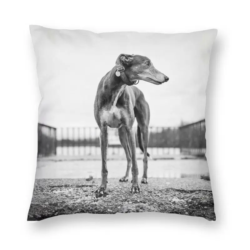 Greyhound Sighthound Dog Pillow Cover Decoration Animal Pattern Cushions Throw Pillow for Living Room Double-sided Printing