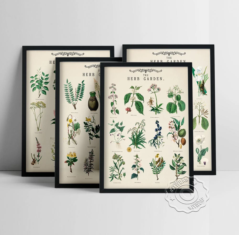 Vintage Herb Garden Plant Education Posters Wall Art Prints School Classroom Decorative Canvas Paintings Modular Wall Pictures