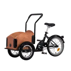 Bicyclette Cargo Avant pour Enfants ou Animaux de Compagnie, Tricycle à 3 Roues pour Adultes, Peut Transporter des Chiens et Chats