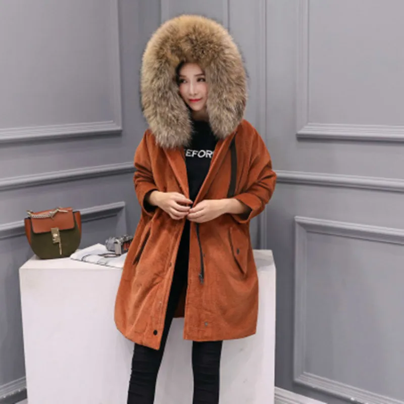 Winter Women's Down Jacket + Large Raccoon Fur Hooded 2020 Korean 90% Duck Down Coat Female Jacket Hiver Casaco LW1279