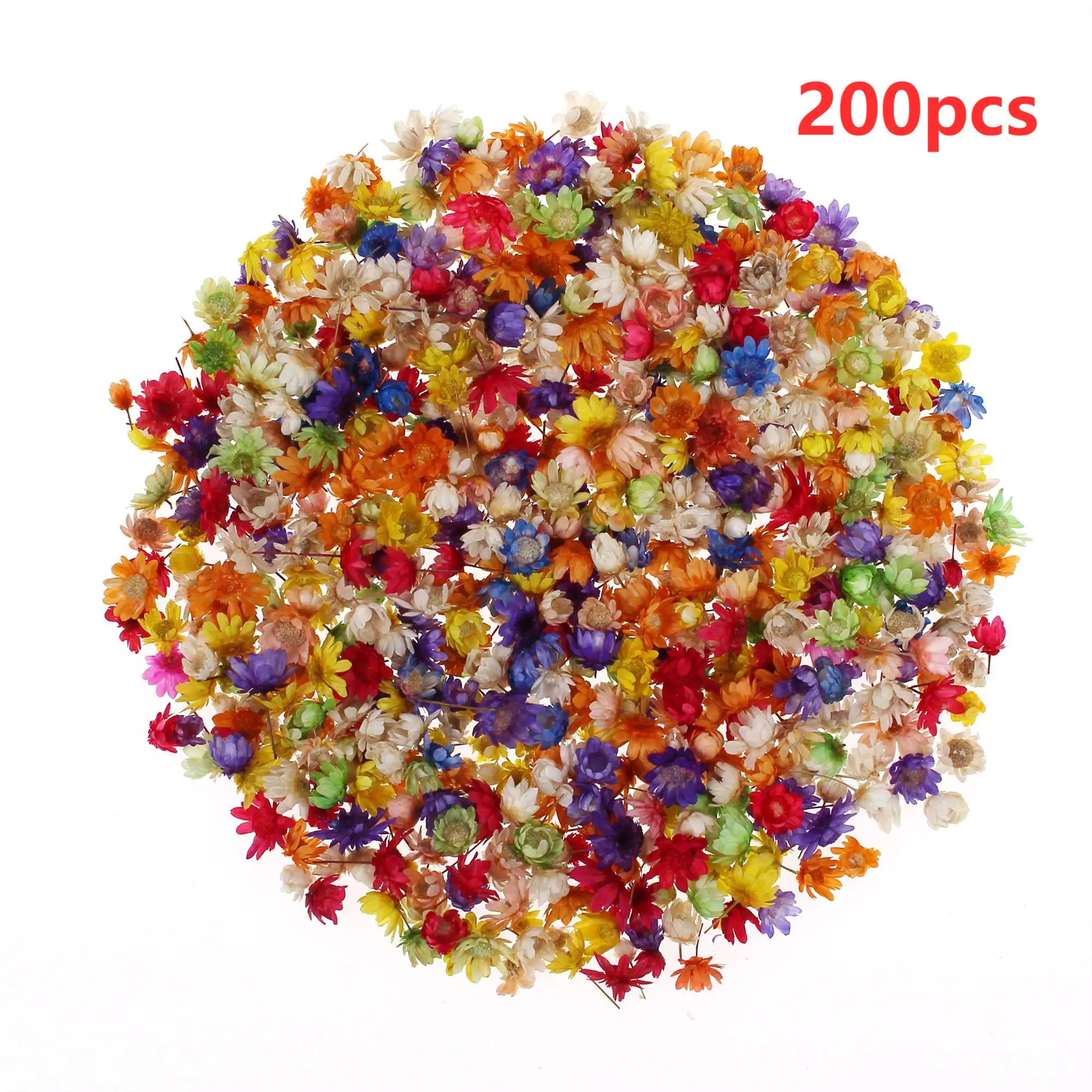

200pc Real Dried Flowers For Diy Art Craft Epoxy Resin Candle Making Jewellery Home Party Decorative Dry Press Flowers Craft