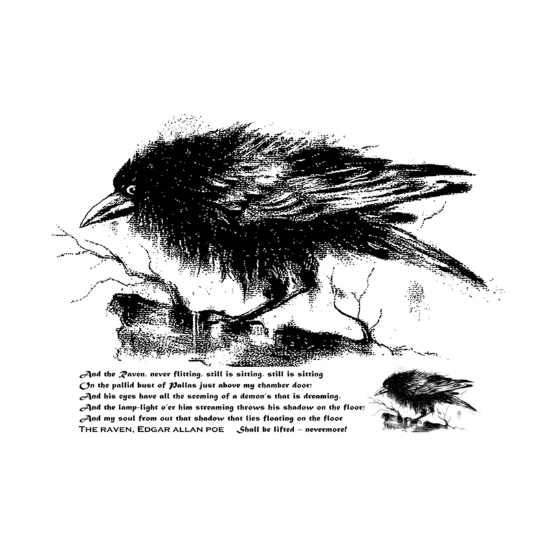 Crow Transparent Cl…