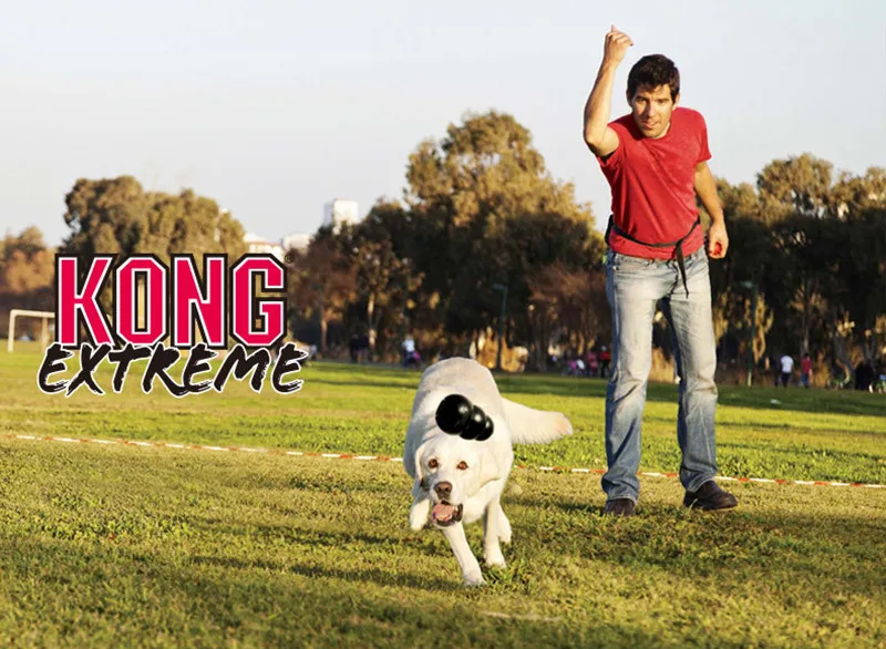 S-XXL KONG Extreme Hundespielzeug mit Ihrer Wahl für Hundeleckerli – Detail 6