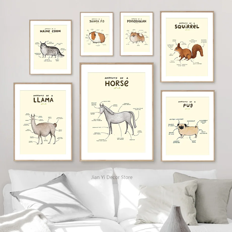 Pug Dog Alpaca Horse Anatomy Wall Art Canvas Painting Nordic Posters And Prints Pictures For Veterinary Hospital Home Decoration