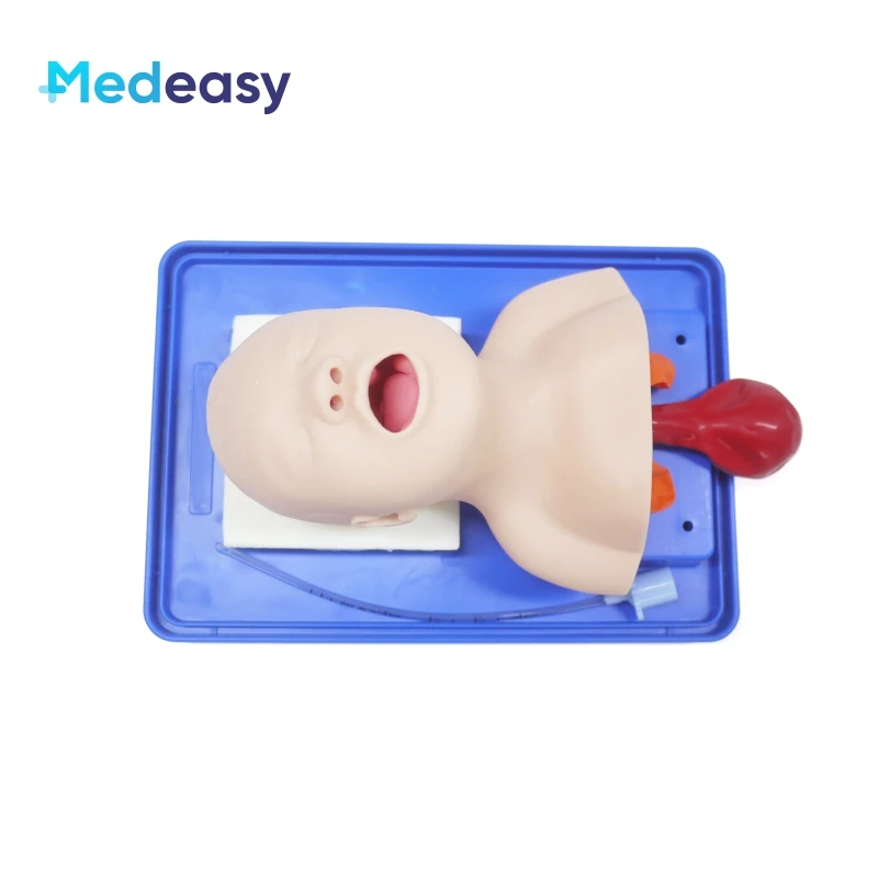 

Neonatal Newborn Tracheal Intubation Training Model Infant Endotracheal Intubation Manikin