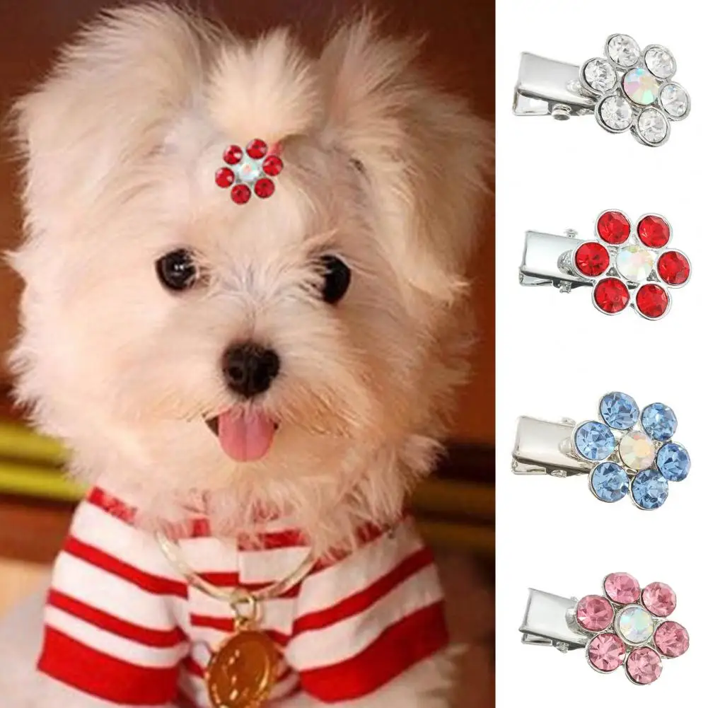 Lovely Puppy Hair Clips  Plum Blossom Appearance Long-lasting Dogs Hair Clips  Pretty Pet Dogs Rhinestone Hairpins