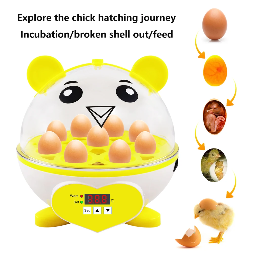 BEST egg incubator Automatic Brooder Farm chicken Duck Hatchery machine Digital 9 egg incubator Hatcher for goose chicken quail
