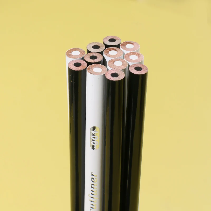 Brutfuner 12Pc Weiß & Schwarz Farbige Bleistifte Berufs Öl Farbe Bleistift Zeichnung Bleistift Set Skizze Schule Student Kunst Liefert – Detail 8