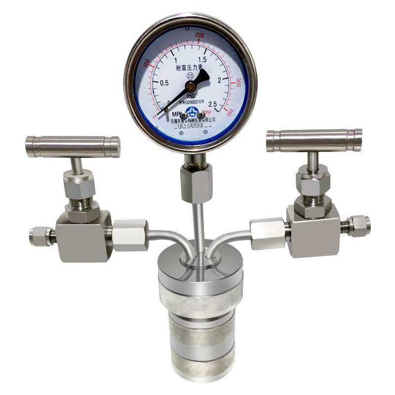 Hydrothermal synthesis Autoclave Reactor vessel +inlet outlet gauge 25ml 6Mpa