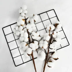 10heads/bouquet White Dried Flowers Natural Cotton Flower Branch Decorations for Home Gardening Craft Wedding Floral Decor