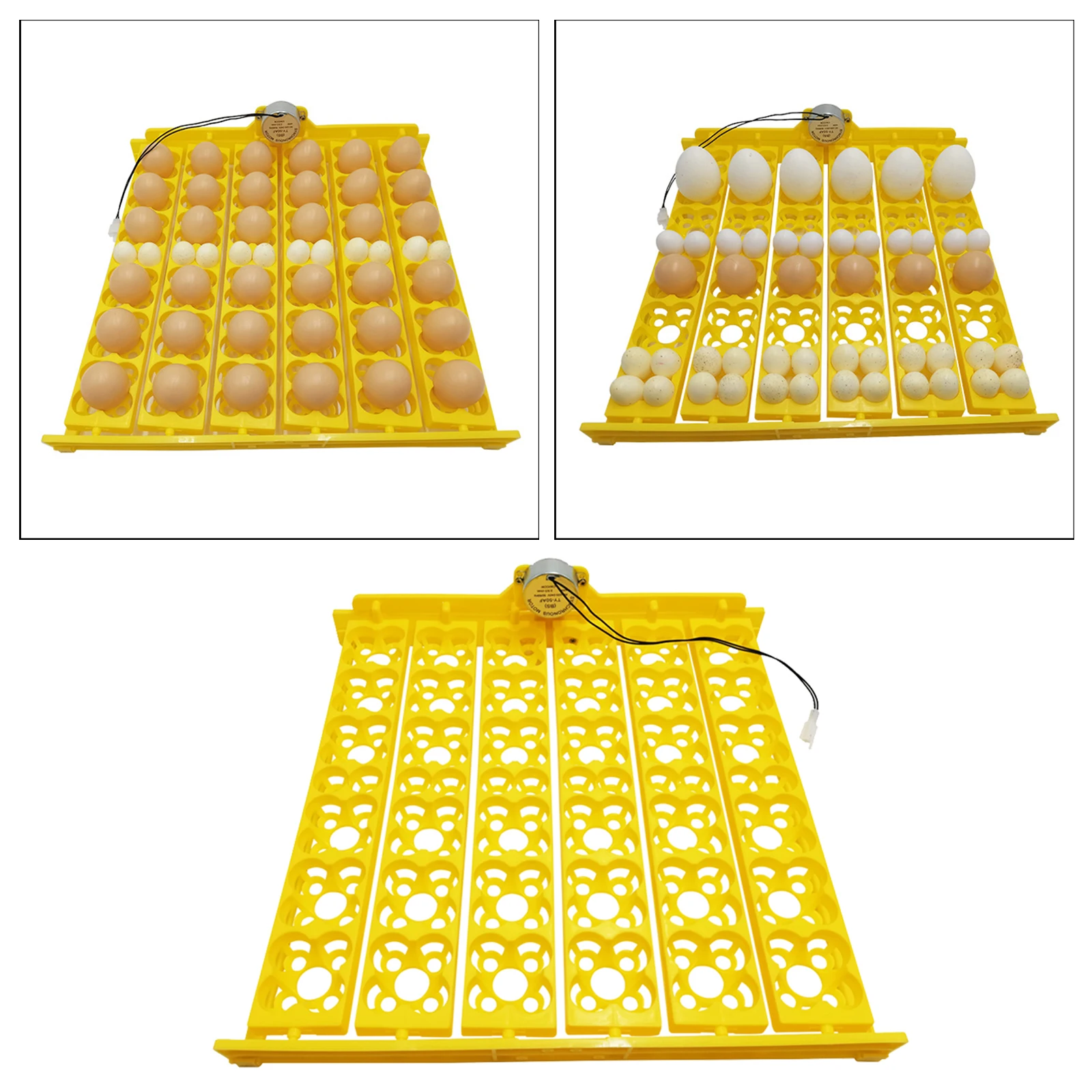 Eggs Incubator Automatic Turning Tray with Motor Farm Poultry Hatching Device for 36 Chicken Eggs, or 156 Quail Eggs, EU Type