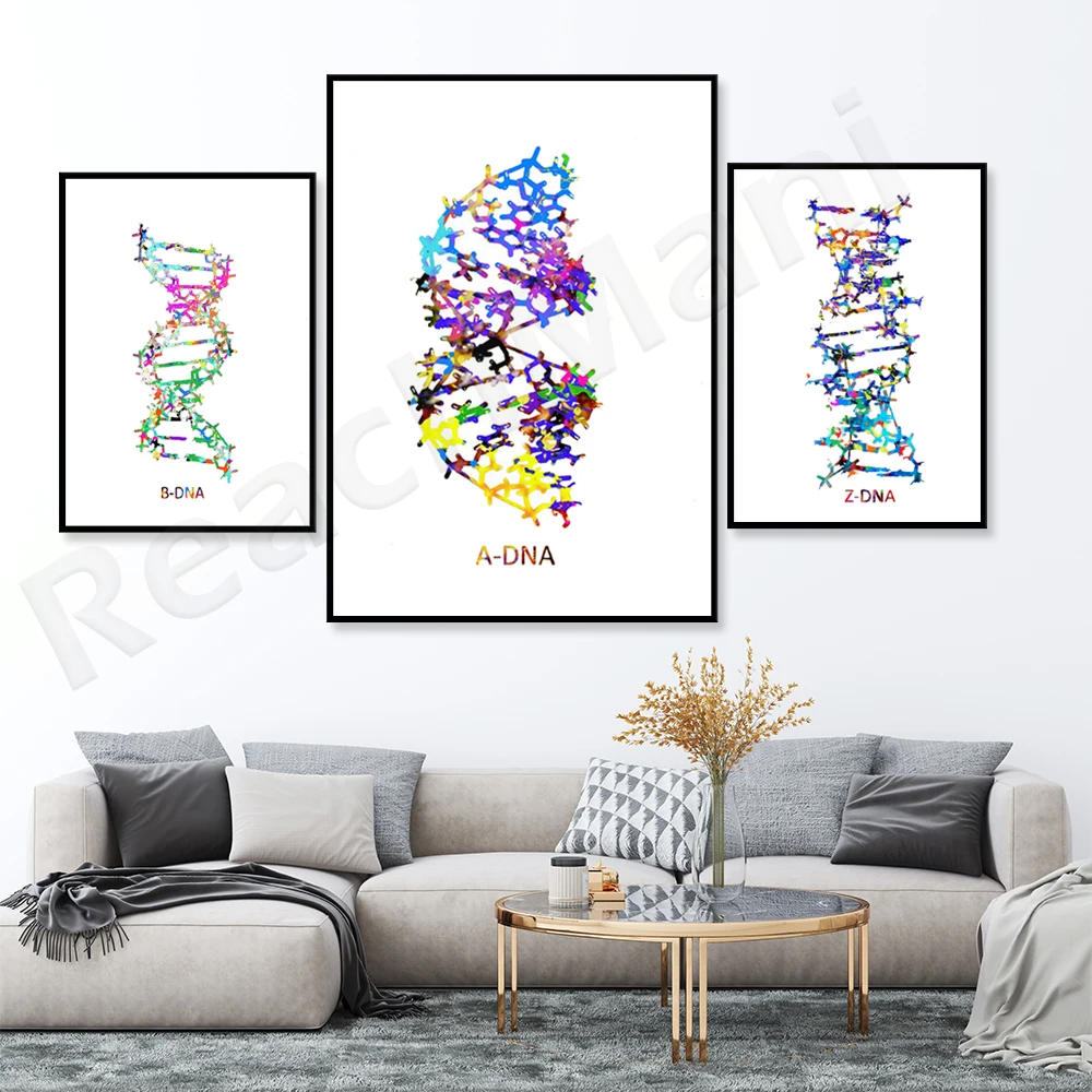 ADN طباعة DNA A B Z dna الفن يطبع الأطباء الهدايا العلوم الفن عيادات علم الأحياء الدقيقة الوراثية الممرضات الهدايا الملصقات الفنية الجزيئية