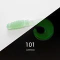 NW101