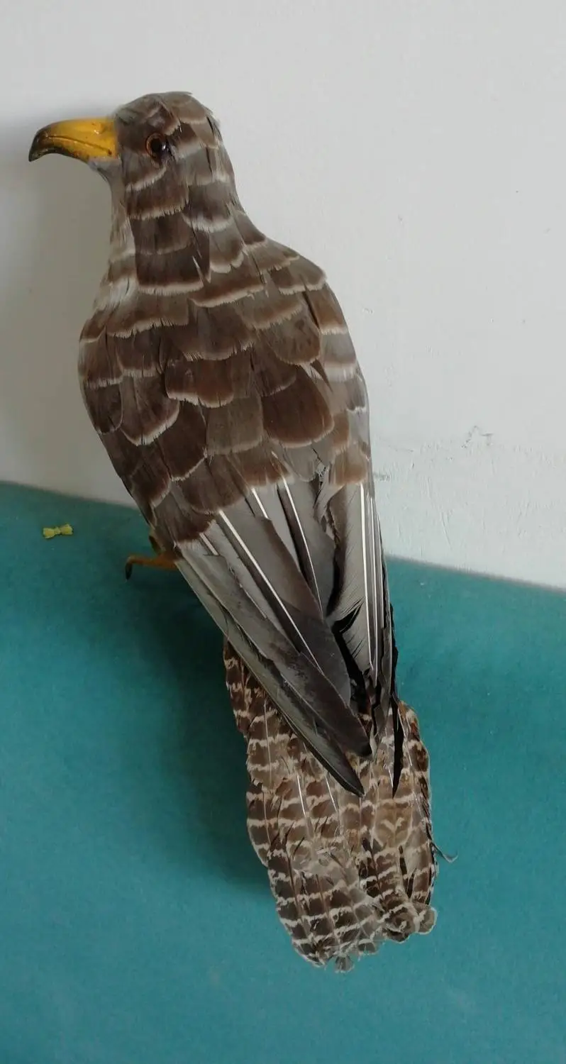 big simulation foam eagle model gray feather turned eagle bird home decoration gift about 45cm xf2866