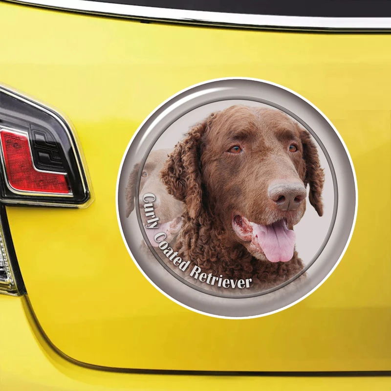 S62128# Curly Coated Retriever Self-adhesive Decal Car Sticker Waterproof Auto Decors on Bumper Rear Window Laptop Choose Size