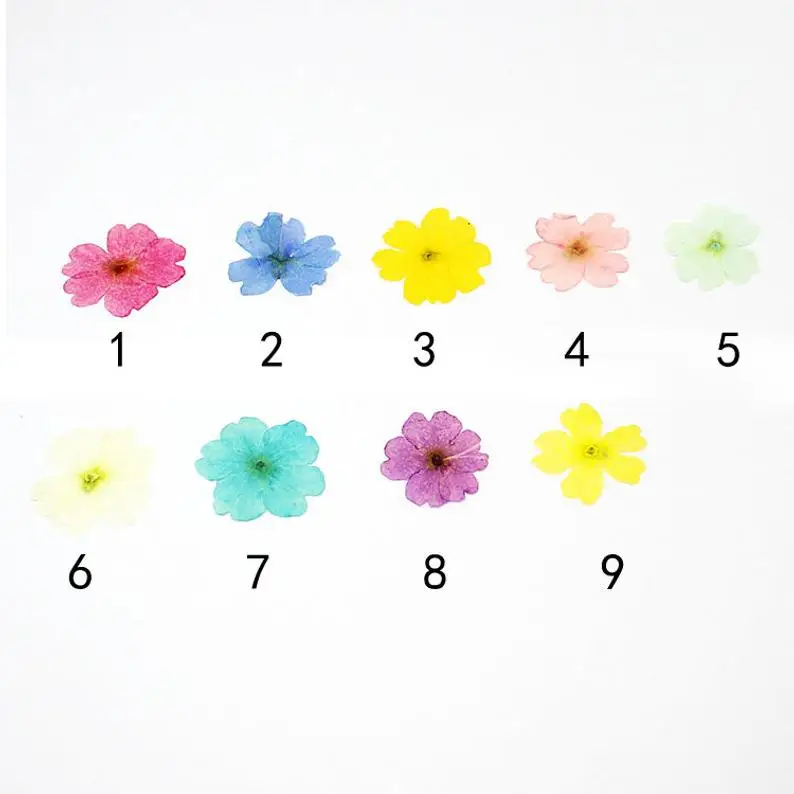 150PCS Dried Natural Cherry Blossoms Dyed Flower DIY Handmade Plants Epoxy Uv Resin Pendant Necklace