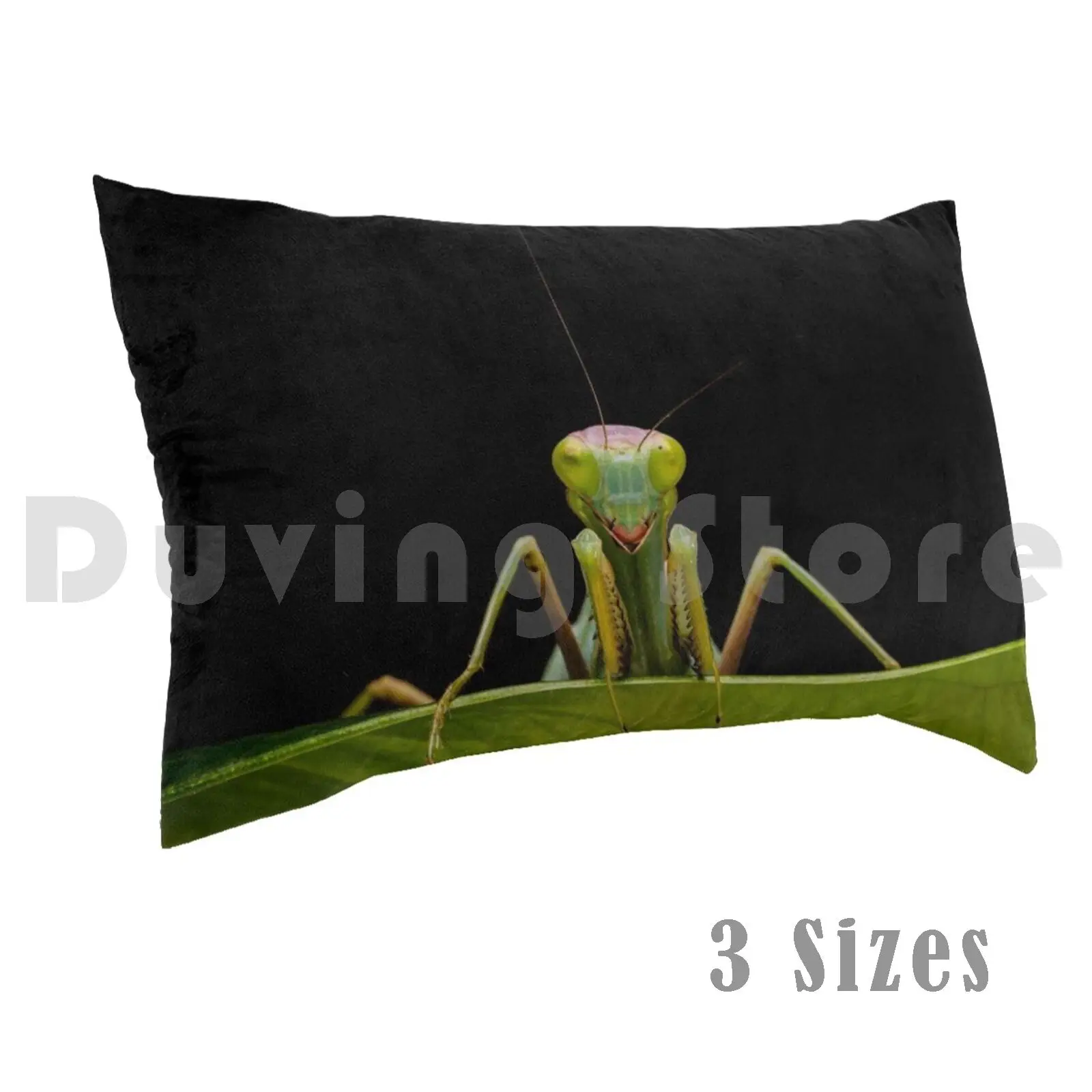 

pillow Case Green Mantis Hat Green Preying Mantis Insect Leaf Cannibal Carnivore Legs Mouth Eat