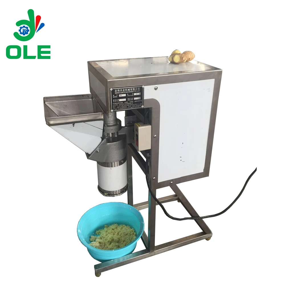 

200kg/h Automatic Garlic Crusher Machine Commercial Ginger Machine