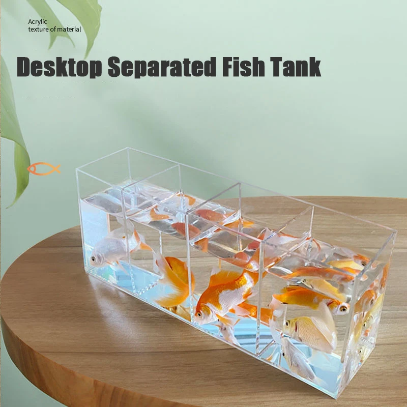 Desktop Separated Fish Tank for Betta Small Fish High Transparent Acrylic Open Aquarium Water Plant Tank Tortoise Tank