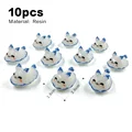 10 piezas de conejo marino blanco