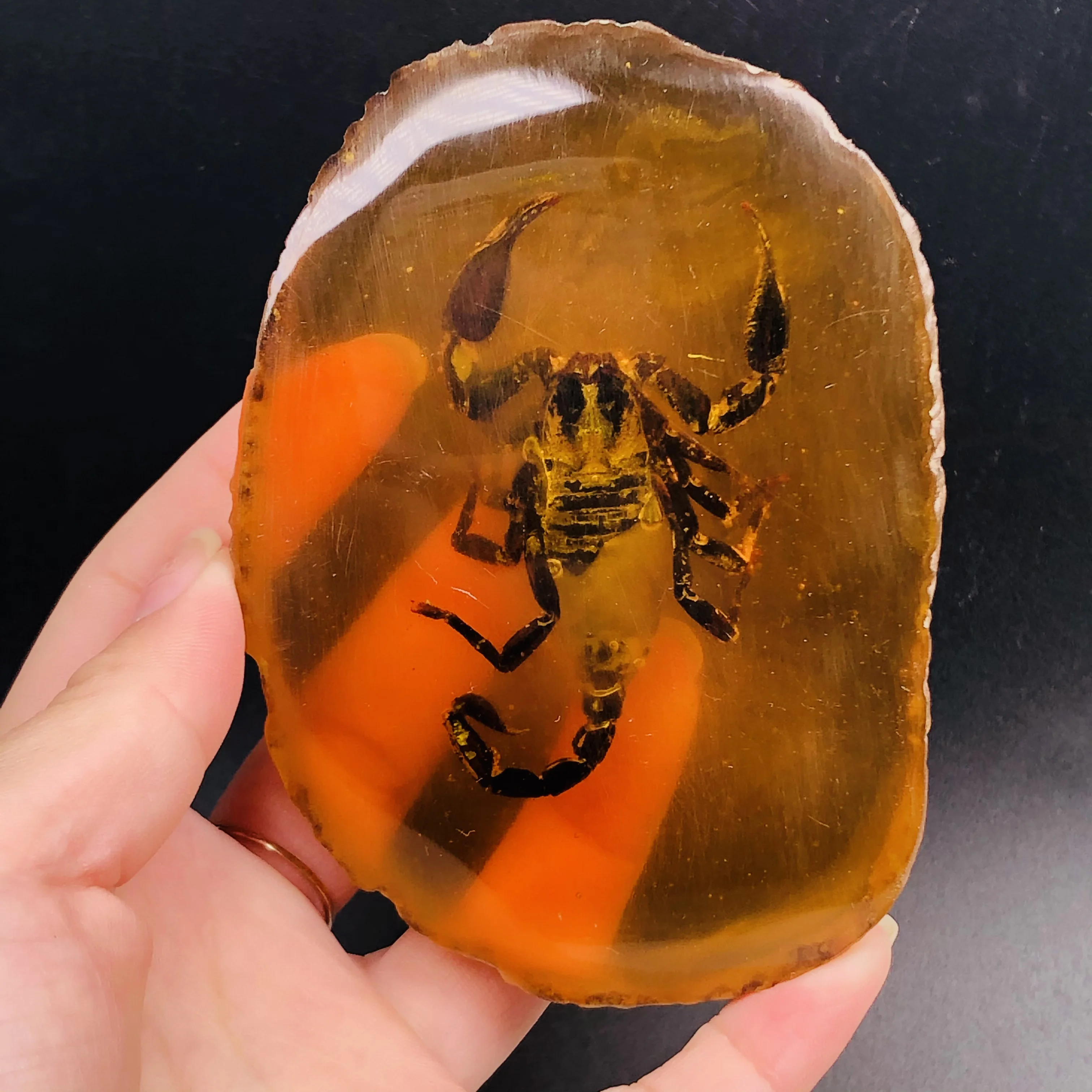 Natural Amber Beeswax Raw Stone Insect Specimens