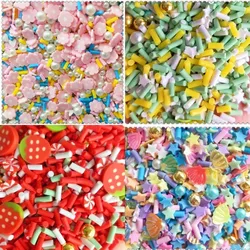 Mixed Shape Polymer Clay Stick Fruit Slices Nontoxic 3d Soft Clay Mixed Color Series for Nails Slime Cream Filler Accessories