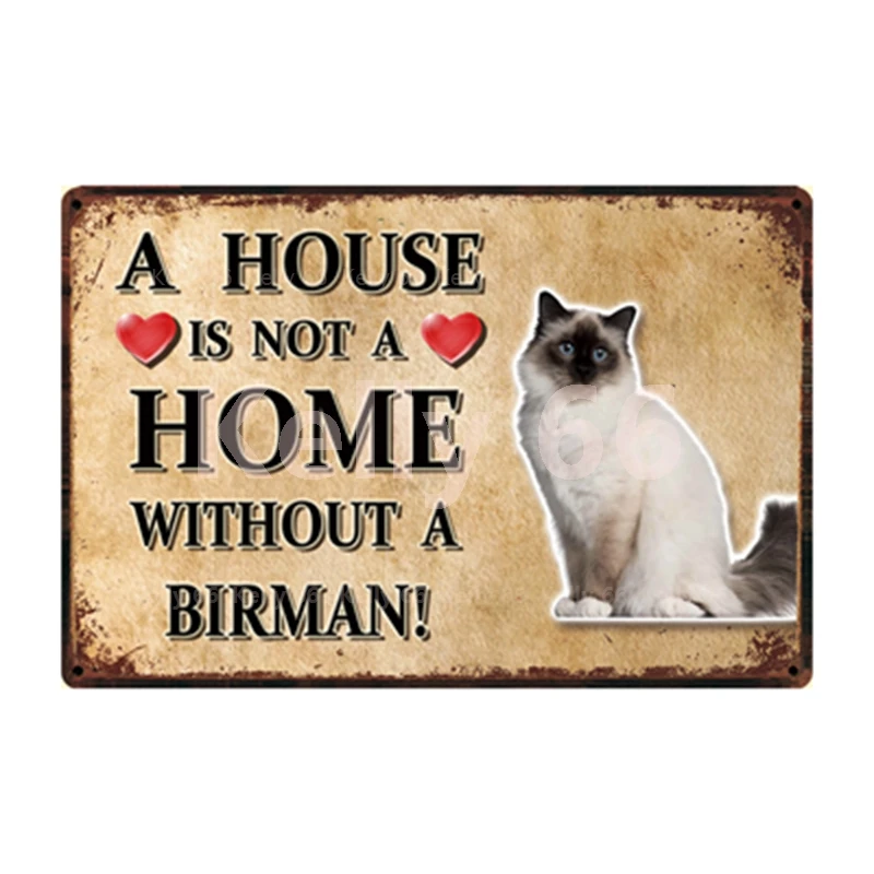 [ Kelly66 ] Pets Cat Bombay Siamese Burmese Birman Abyssinian Metal Sign Home Decor Bar Wall Art Painting 20*30 CM Size Dy147