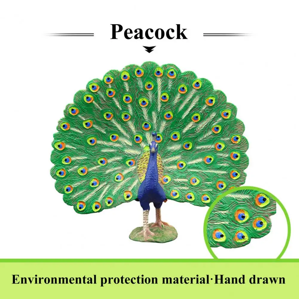 Lovely Peacock Figurine Professional Painted Craft Wear-resistant Multifunctional Realistic Peacock Model Figure Home Decoration